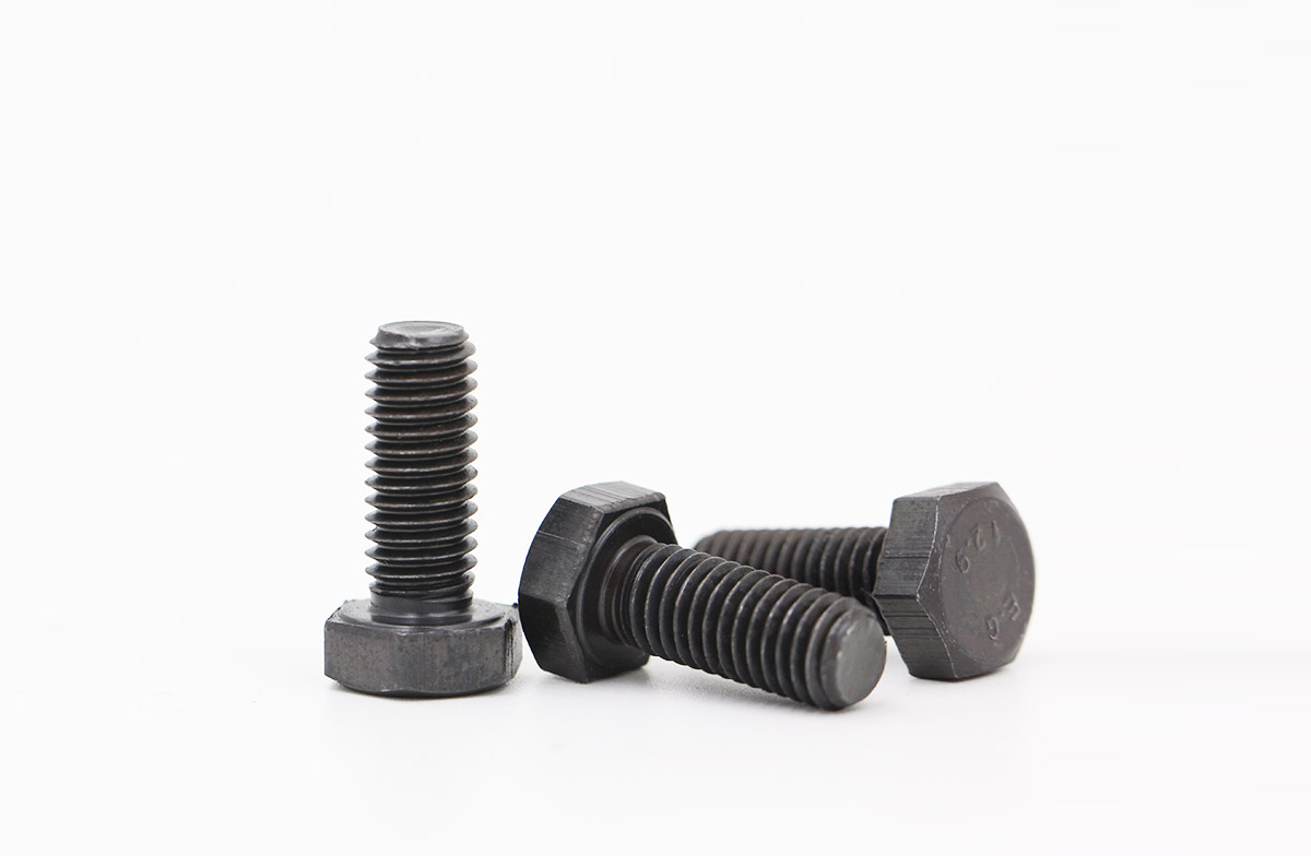 ��ҳ| 88858cc���������й����ٷ���վ