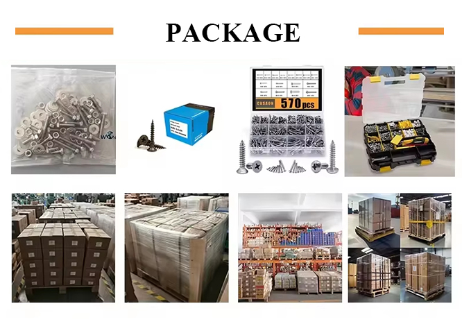 ��ҳ| 88858cc���������й����ٷ���վ